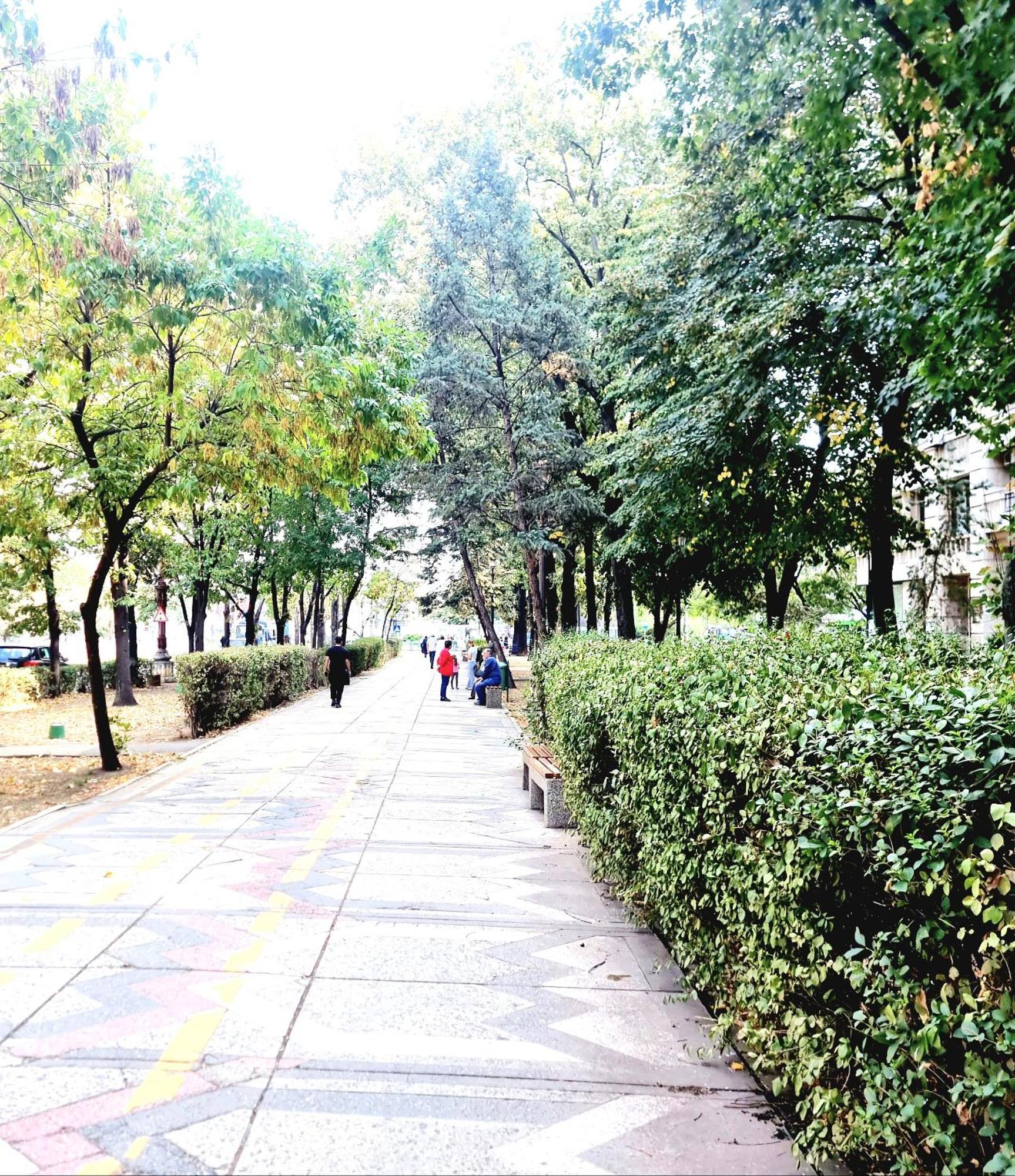 Tranquil Unirii Residence - Elegant & Spacious Living With Parking Steps From Parliament บูคาเรสต์ ภายนอก รูปภาพ